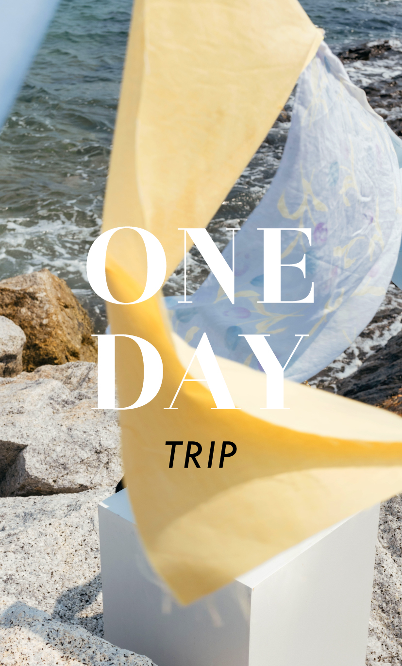 One Day Trip